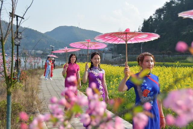 双峰 杏子铺镇 踏春