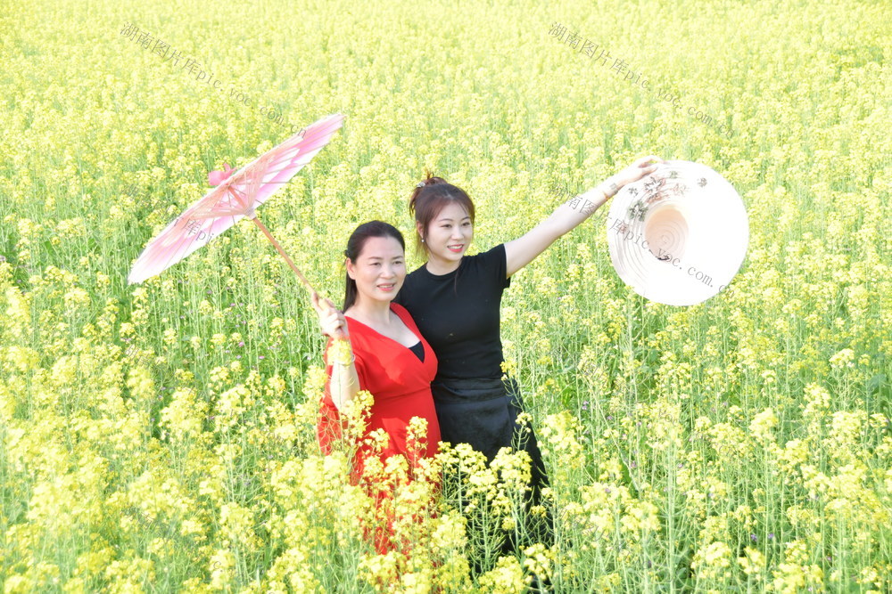 双峰 杏子铺镇 踏春