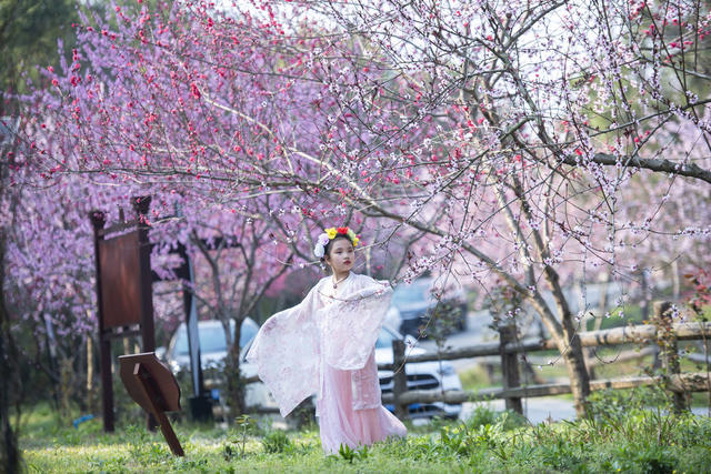 湖南娄底 文旅市场 游客 乡村游 休闲游