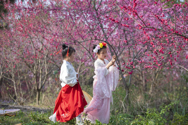 湖南娄底 文旅市场 游客 乡村游 休闲游