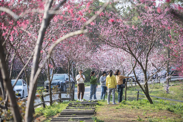 湖南娄底 文旅市场 游客 乡村游 休闲游