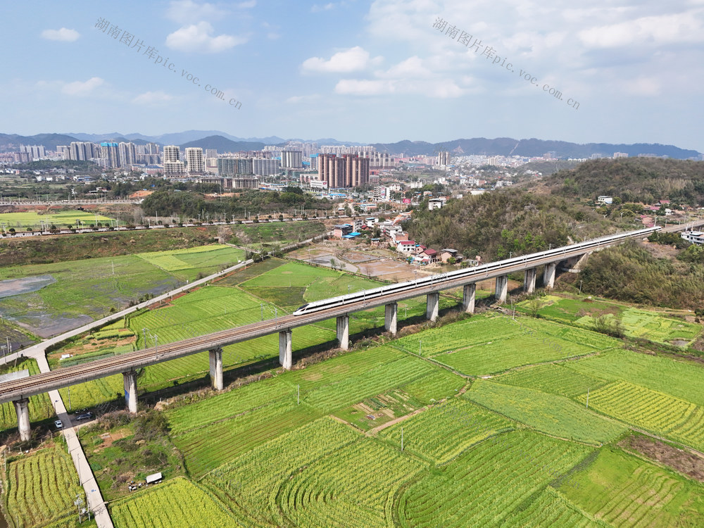 田园风光  春日画卷  美丽乡村  动车  油菜花  旅途  驶向春天