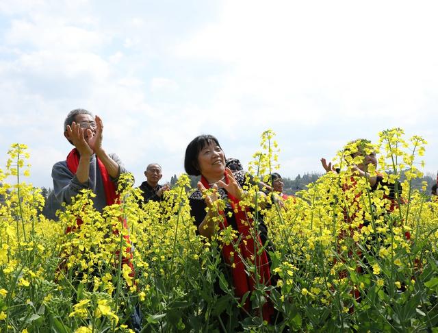 万亩花田扮靓美丽乡村