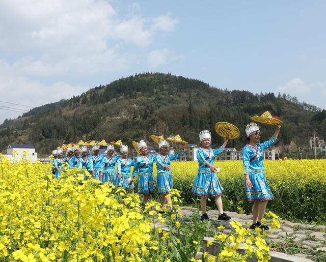 万亩花田扮靓美丽乡村