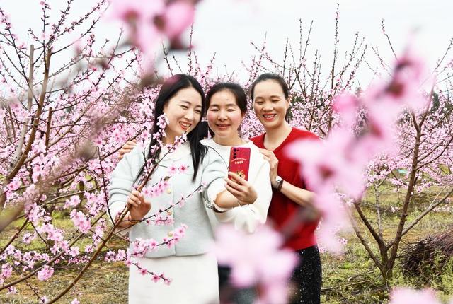   春光美  引游人