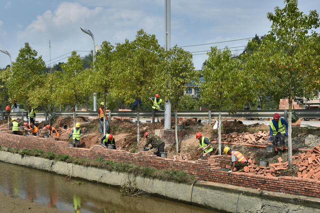 道路绿化施工忙