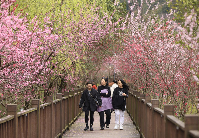 张家界 春色 武陵源 索溪河