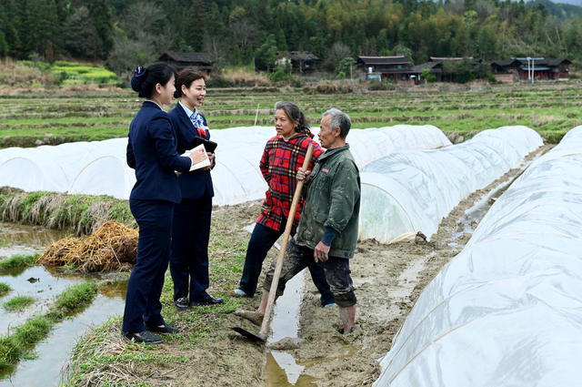 金融 春耕备耕 信贷 金融助春耕 农村 银行 农民 农业生产 