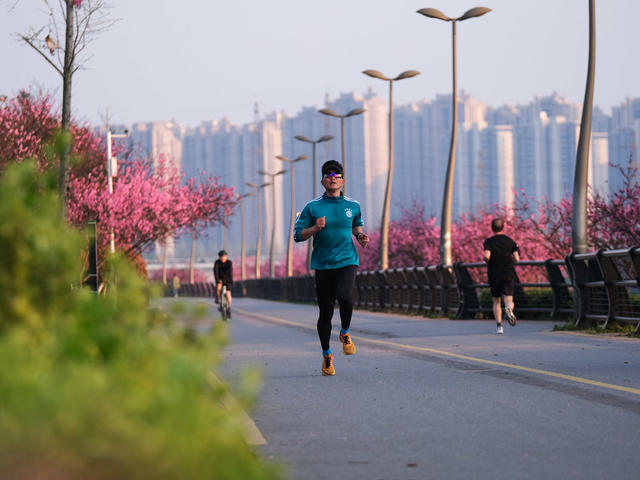 浏阳河风光带，游玩赏花，运动健身