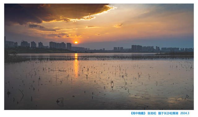 松雅湖  风景