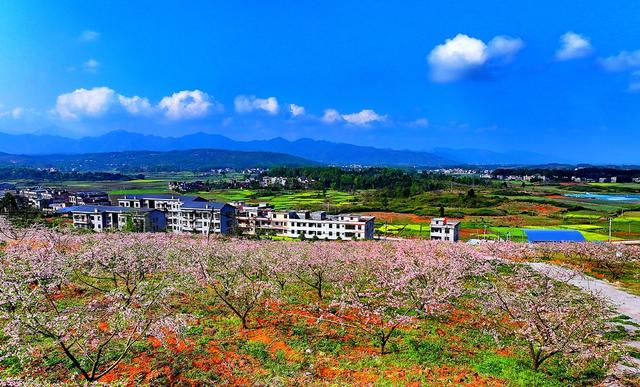 常宁    板桥   桃花   美景