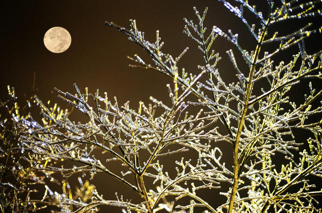 湖南  郴州市  苏仙区  郴州长卷 
 文旅街  冰雪  冰挂  红灯笼  黄建华