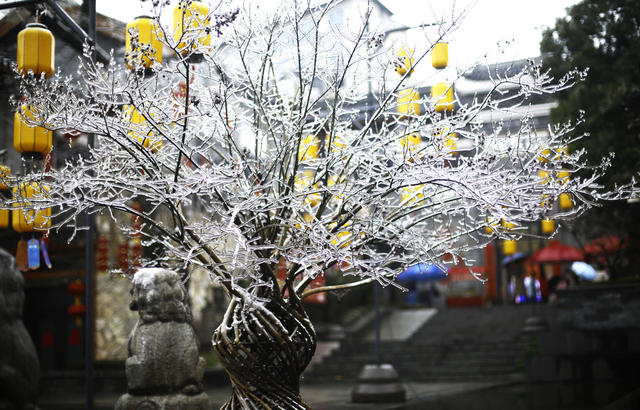 湖南  郴州市  苏仙区  郴州长卷 
 文旅街  冰雪  冰挂  红灯笼  黄建华