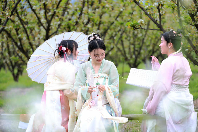 赏花踏春 农旅融合 桃梨经济 梨花绽放 引客来  促振兴
