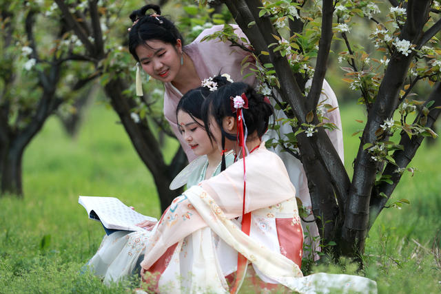 赏花踏春 农旅融合 桃梨经济 梨花绽放 引客来  促振兴
