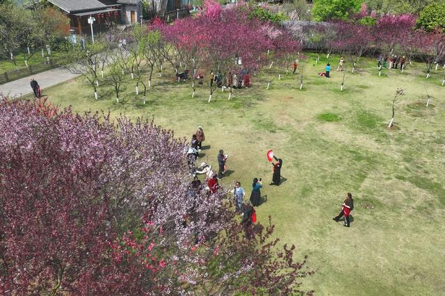 踏青 赏花 出游 春光