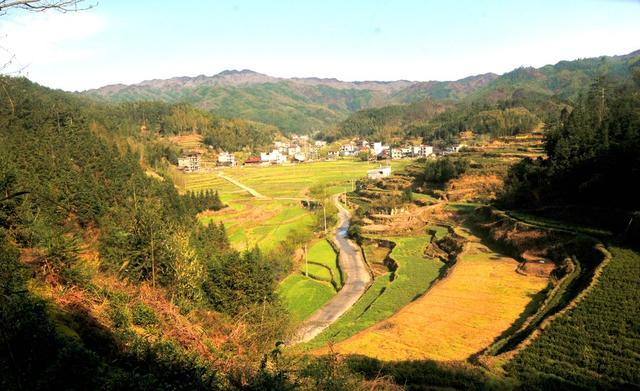 梯田  新宁 桃花 