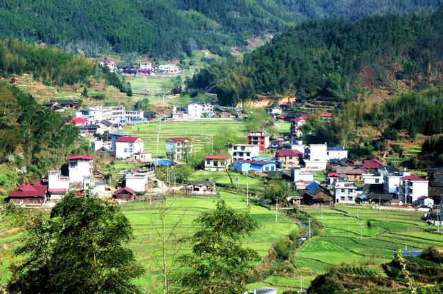 梯田  新宁 桃花 