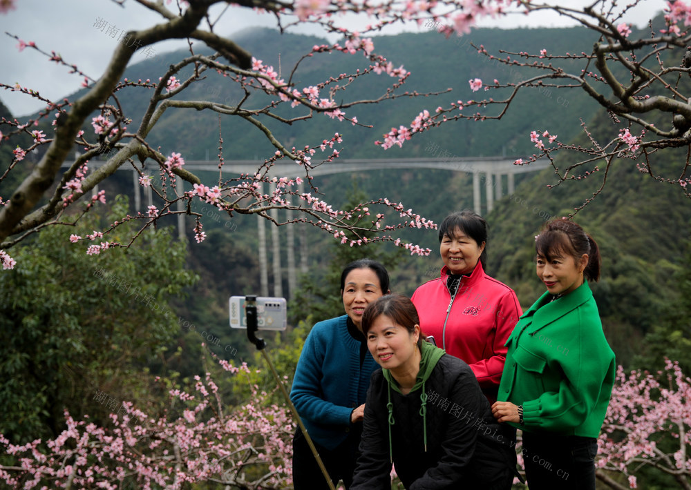 湖南炎陵 桃花 游客 村瑶族乡龙渣村 武深高速