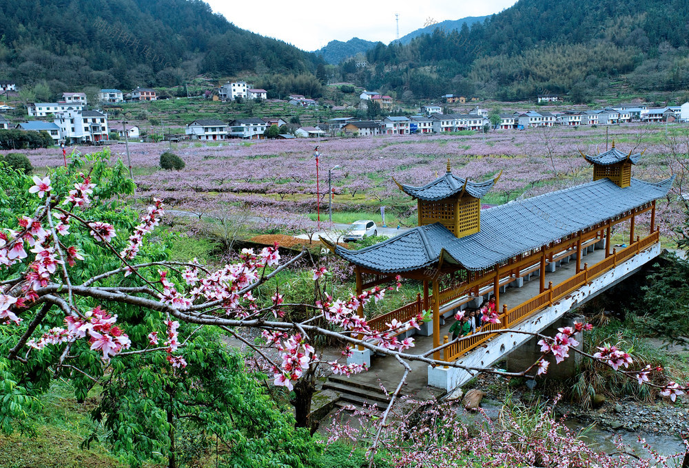 湖南炎陵：产业兴 瑶村美 中村瑶族乡龙渣村 画