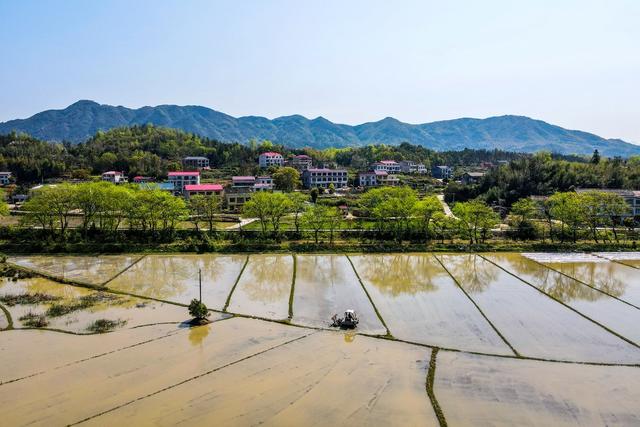 春耕  春插  农机  粮食生产  育秧
