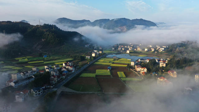 生态 环境 乡村振兴  春天 