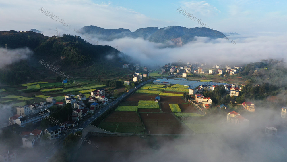 生态 环境 乡村振兴  春天 