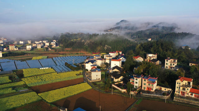 生态 环境 乡村振兴  春天 