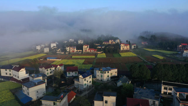 生态 环境 乡村振兴  春天 