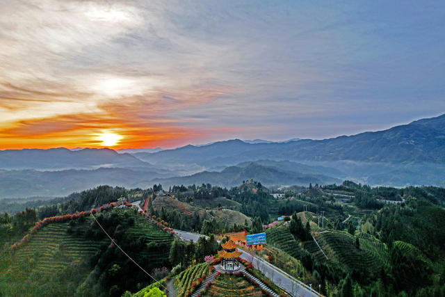 湖南桂东 清晨 茶山 水墨画 晨曦