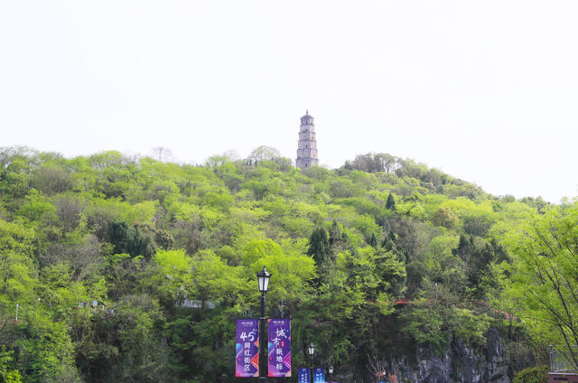 春和景明  踏青赏花  春光  美景