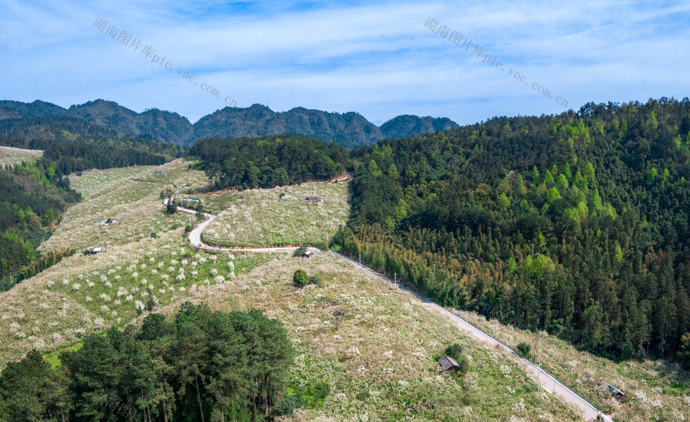 春天 春色 春季 梨花 排牙山梨花 靖州梨花 风光 风景 背景 森林 种植业 农业 蓝天白云 生态农业 地形 绿色 青山 花海 高山 树 自然 天空 户外