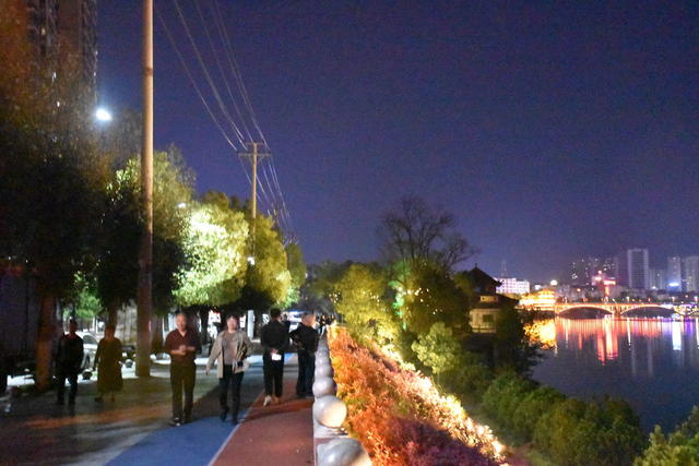 璀璨夜城