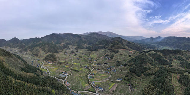 以花为媒 山乡绽放美丽经济