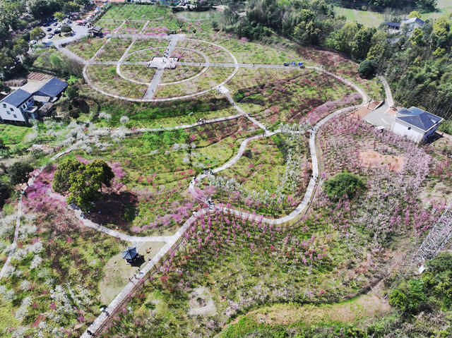 旅游  景区  桃花源  桃林花海  愉快周末