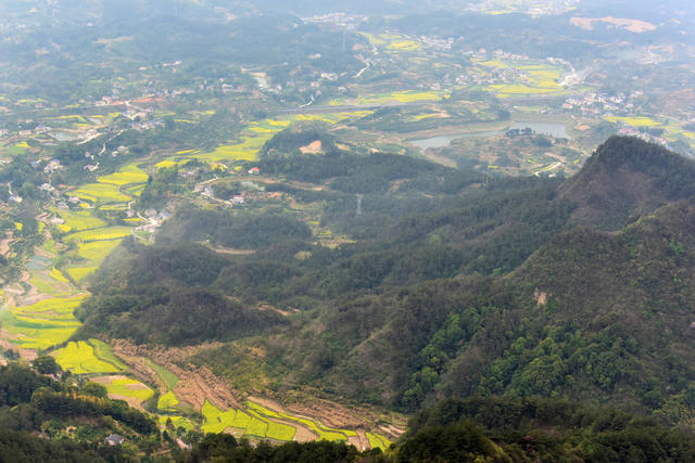 张家界  山区  油菜种植  绿水青山  美丽山乡