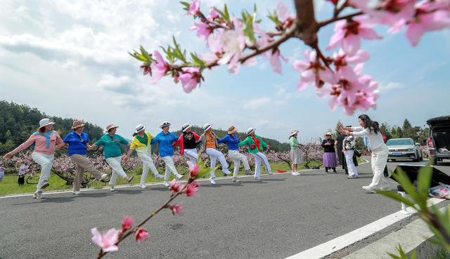 桃花，乡村旅游