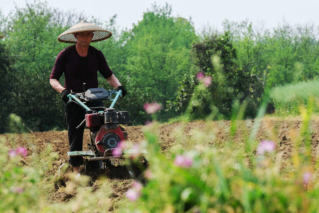 春日，田间劳作忙，翻耕作业