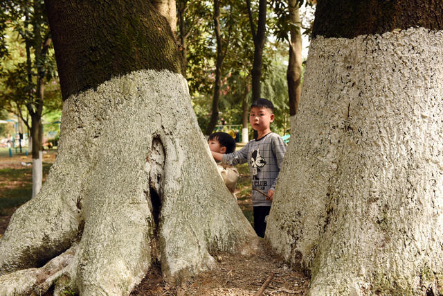 春光 市民  游玩 运动 娱乐