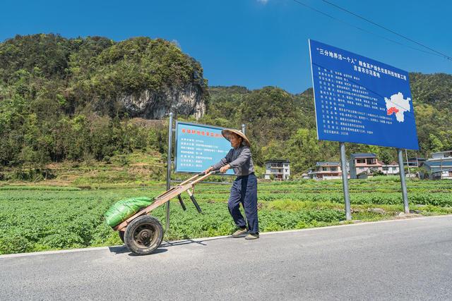 实现“马铃薯亩产2000公斤”目标   马铃薯绿色田园  “三分地养活一个人”粮食高产绿色优质创新工程  “超级杂交中稻+冬种马铃薯粮食周年生产模式” 