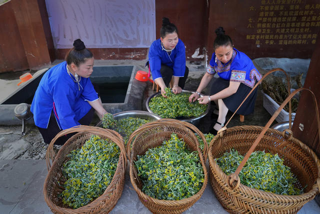 侗族  民俗  清明节 甜藤粑