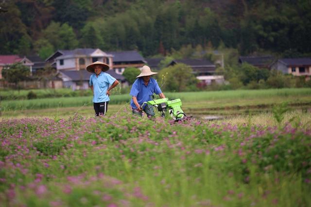 春耕、农忙、农业生产、种田、乡村