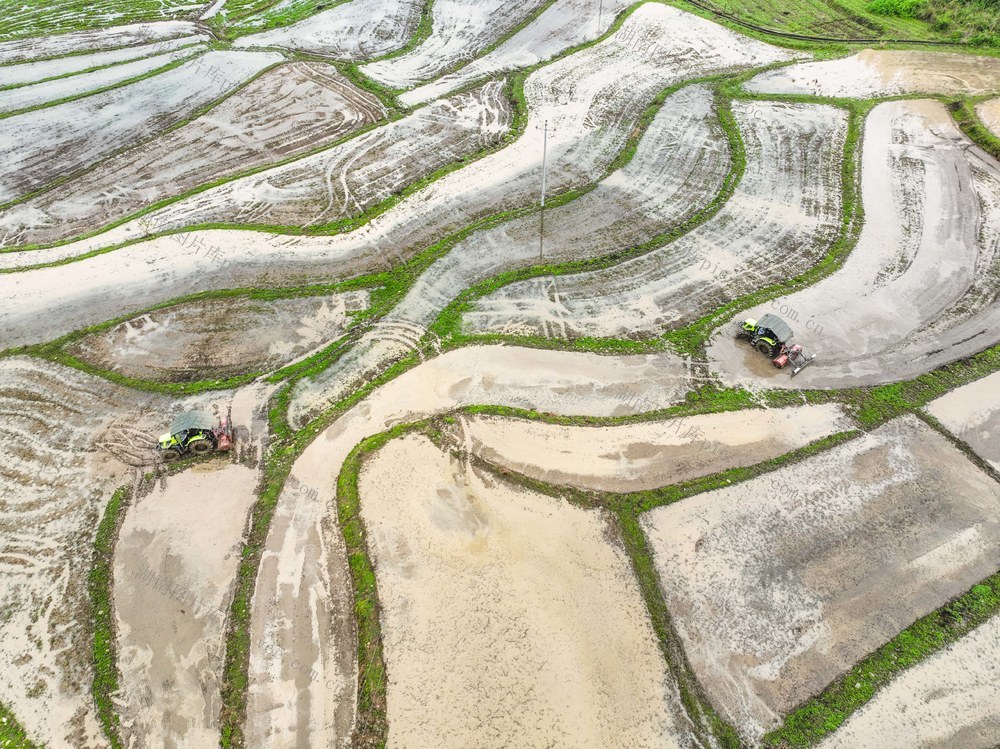 春耕
道县
早稻栽插
粮食生产