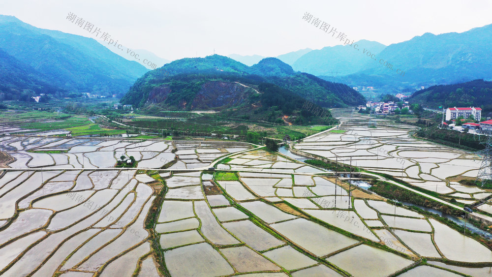 水田  田园  乡村  美景