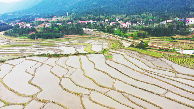 水田  田园  乡村  美景