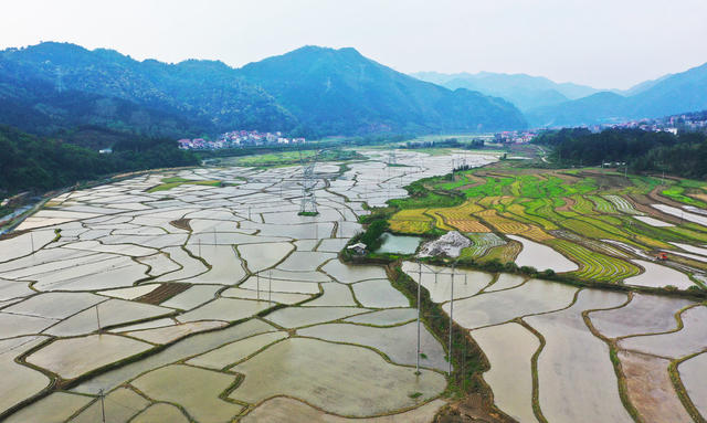 水田  田园  乡村  美景