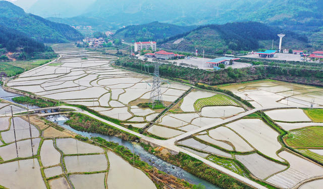 水田  田园  乡村  美景