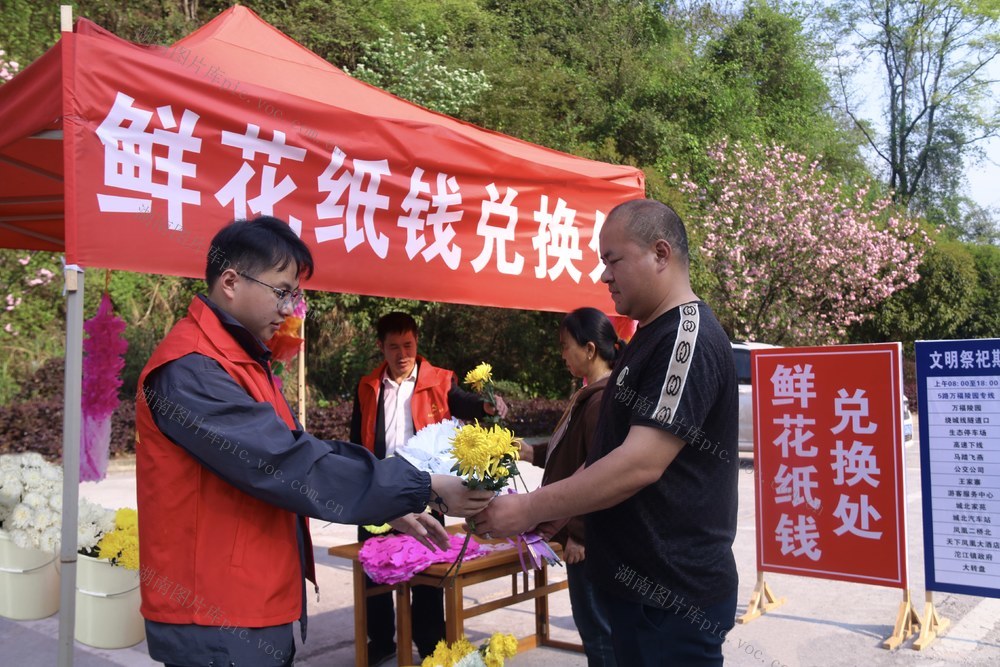 清明 祭祀 文明  祭扫 清明节 