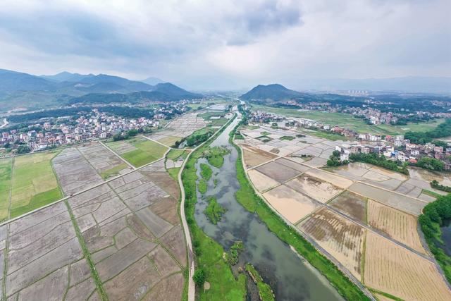 田园 田野 乡村 农田 水田 生态 风光