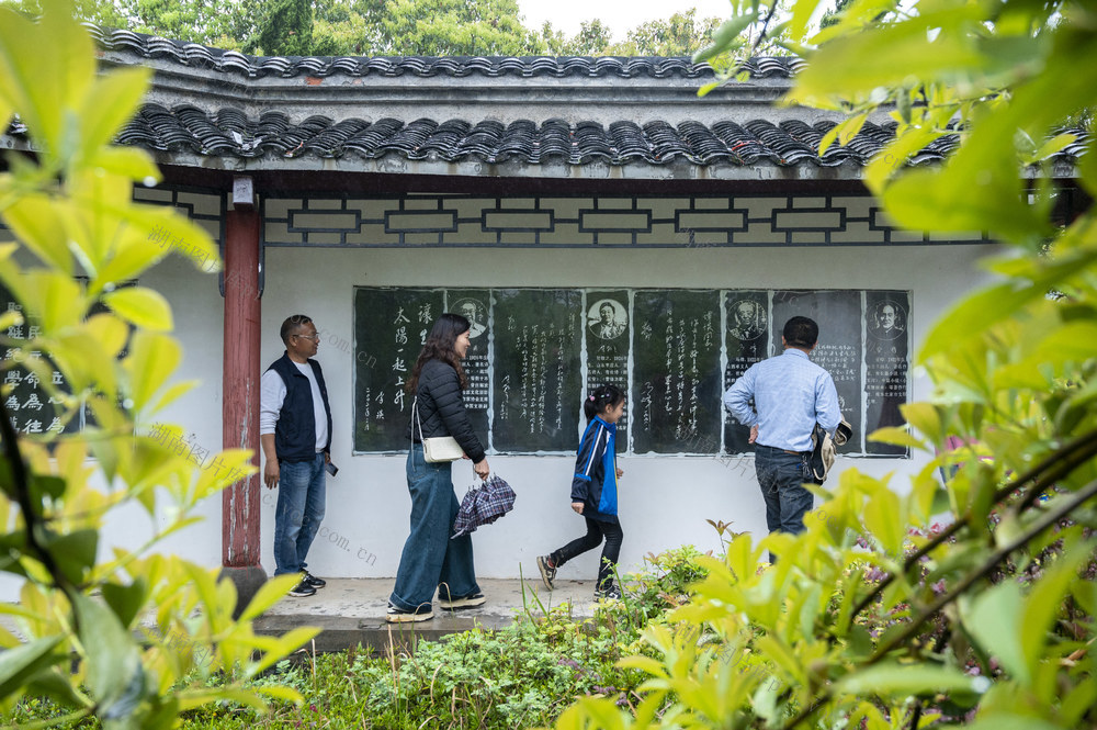 湖南娄底 清明节  踏青出游 游客 自然